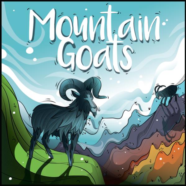 Level X